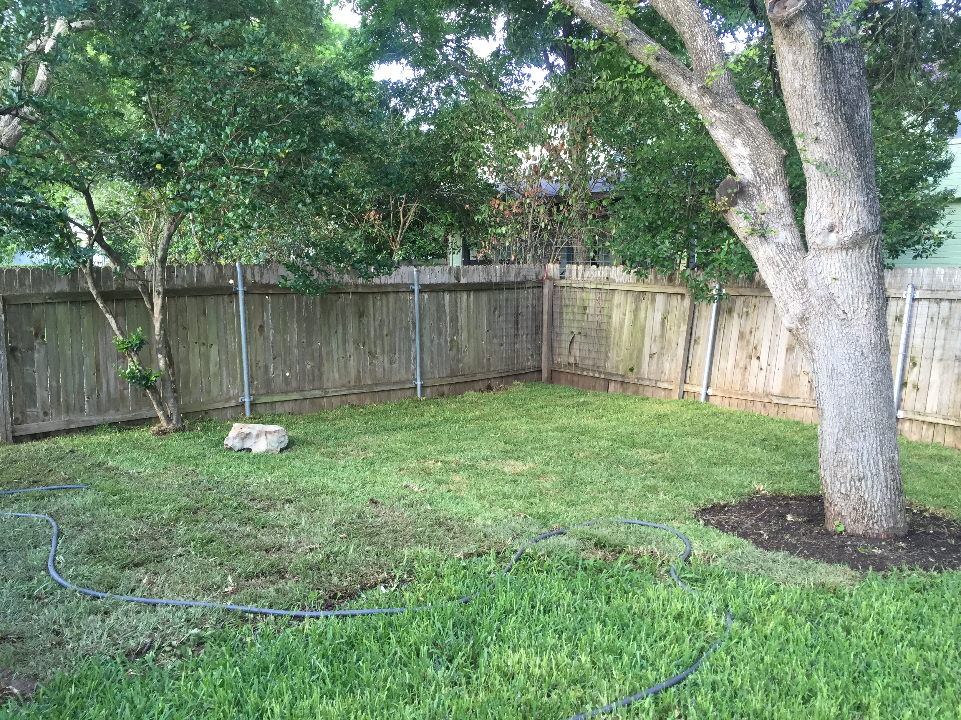 backyard-after1