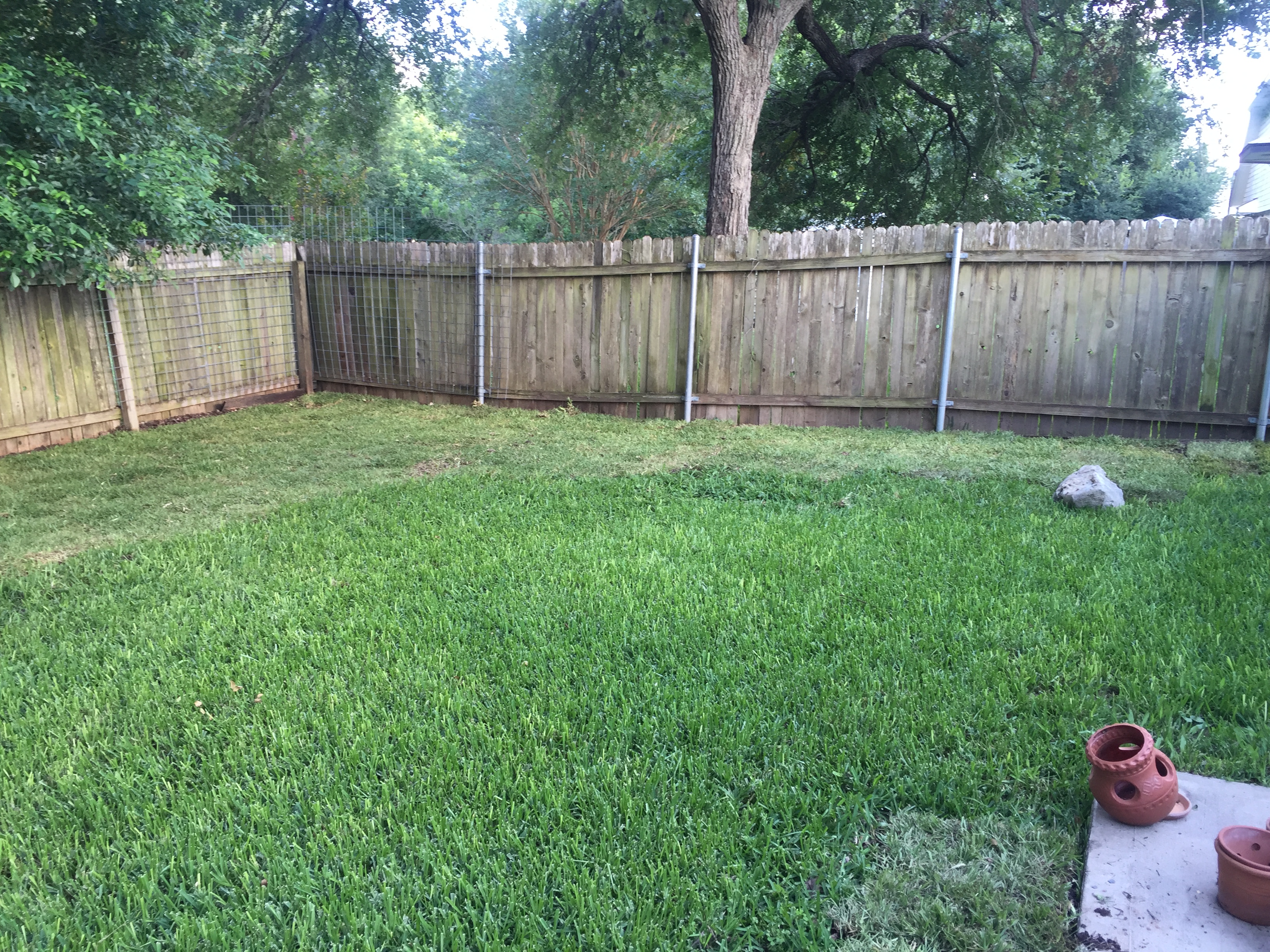 backyard-after4