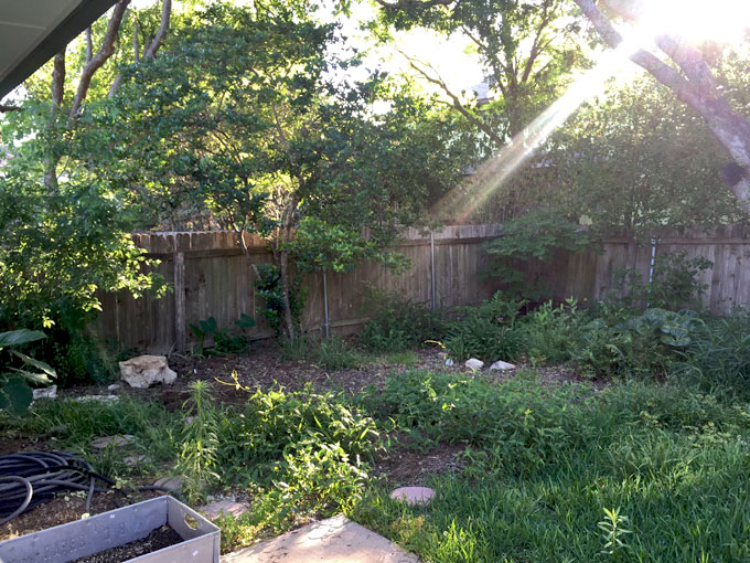 backyard-before1