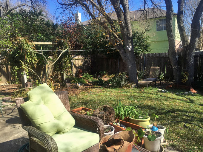 backyard-before2