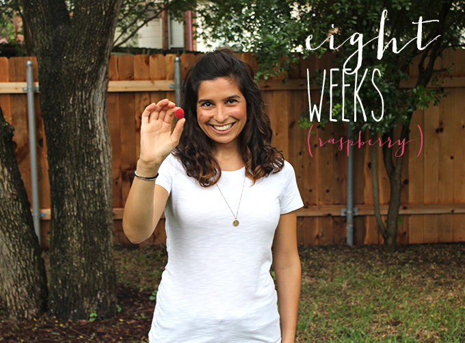 eightweeks-raspberry