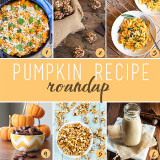 pumpkin recipe roundup