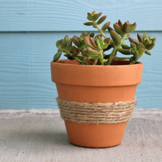 twine-wrapped terracotta pot